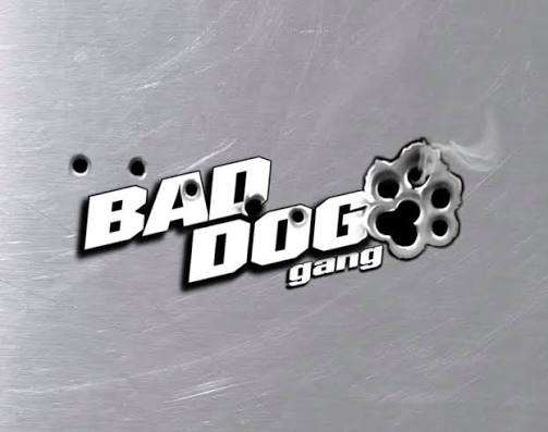 Bad Dog Gang Natural Dog Treats | 100% Natural Protein-Packed USA Made