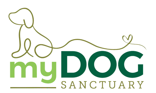 Shop My Dog Sanctuary Soft Chew Supplements for Rescue Dog Wellness