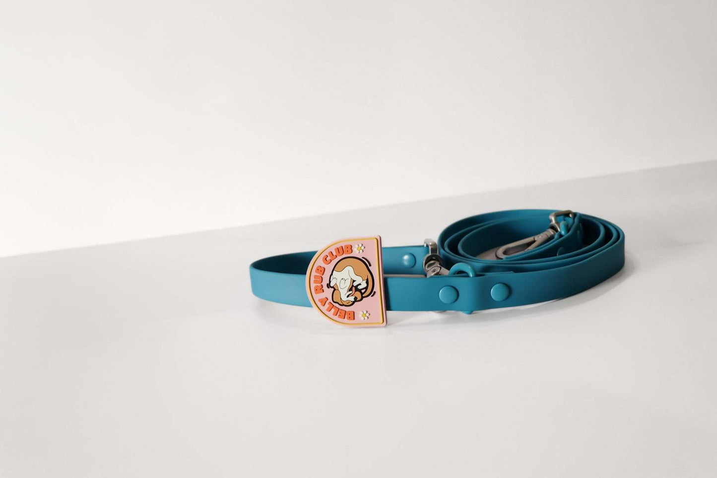 Collar and Leash Tabs -Customizable Dog Accessories for Personal Style