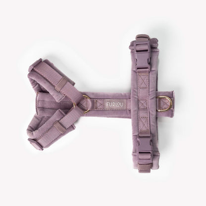 Lilac Velvet Dog Harness: Stylish, Comfortable, Adjustable Accessory