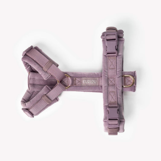 Lilac Velvet Dog Harness: Stylish, Comfortable, Adjustable Accessory