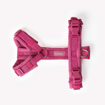 Magenta velvet dog harness with adjustable straps and gold hardware for comfortable, stylish walks