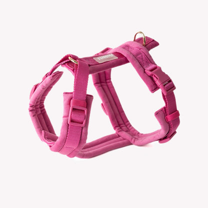 Magenta velvet dog harness with adjustable straps and gold hardware for comfort and style