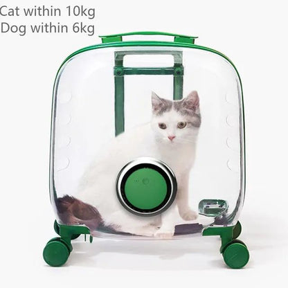 Transparent rolling pet travel trolley with wheels for puppies and cats in pink and green colors