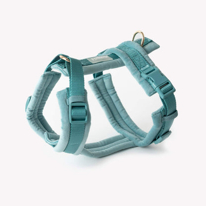 Blue - Velvet Dog Harness with adjustable straps and gold hardware