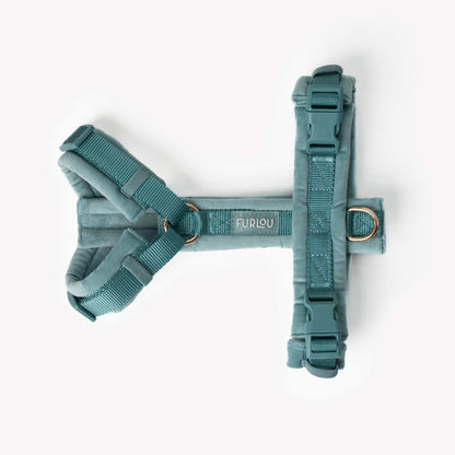Blue - Velvet Dog Harness with gold hardware and adjustable padded straps