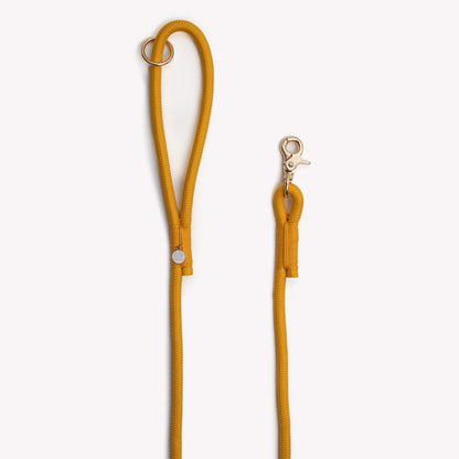 yellow braided rope leash for strong-puller dogs with O-ring handle and durable nylon construction