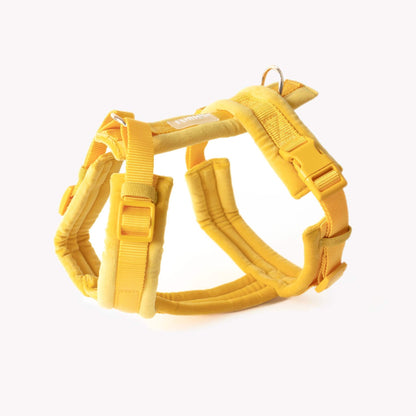 Yellow velvet dog harness with adjustable straps and gold hardware