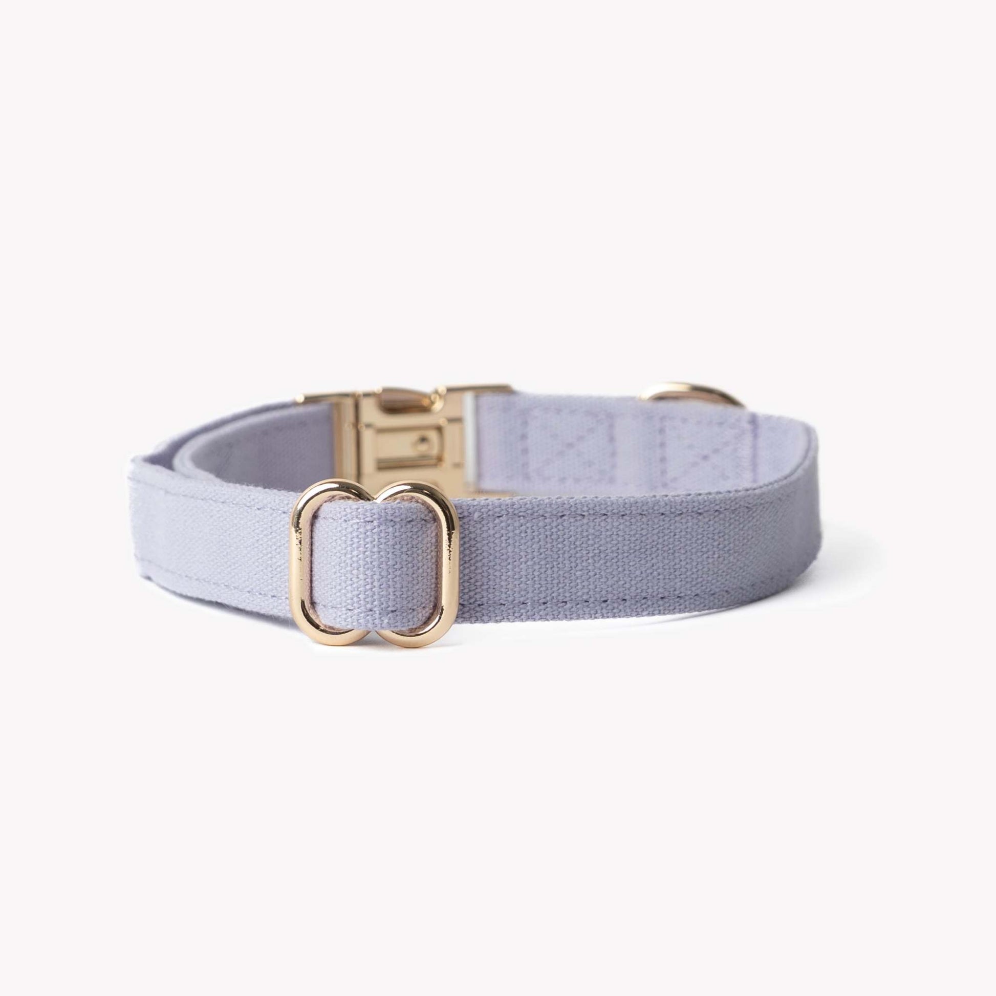 Lavender canvas dog collar with gold hardware, soft cotton, lightweight and breathable design