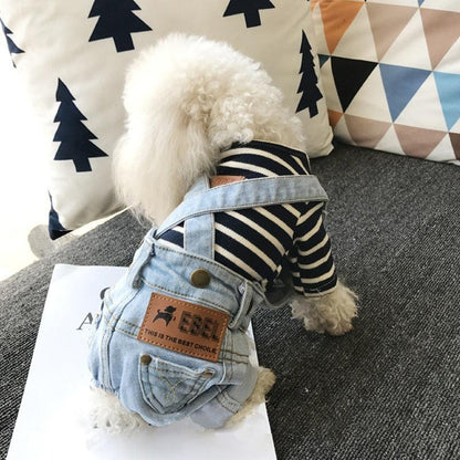 Small white dog wearing denim jumpsuit for dogs with striped shirt sitting on couch