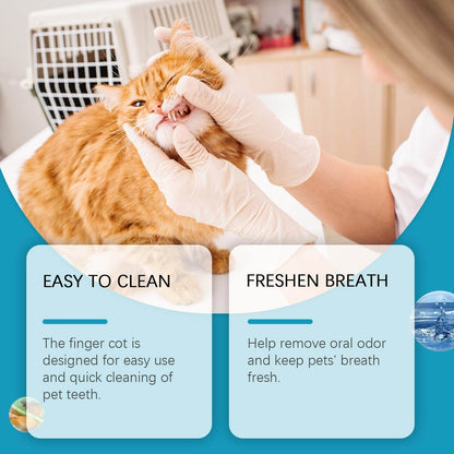 Veterinarian using pet tooth cleaning wipes on an orange cat for tartar removal and fresh breath