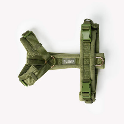 Green velvet dog harness with adjustable straps and gold hardware for comfortable, stylish walks