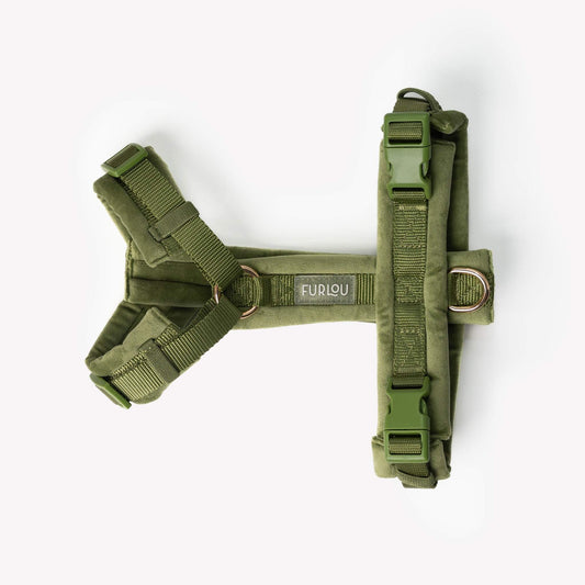 Green velvet dog harness with adjustable straps and gold hardware for comfortable, stylish walks