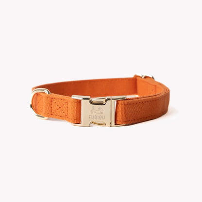 Terracotta canvas dog collar with gold hardware, soft cotton fabric, and breathable lightweight design.
