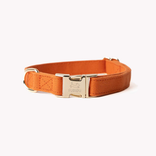 Terracotta canvas dog collar with gold hardware, soft cotton fabric, and breathable lightweight design.