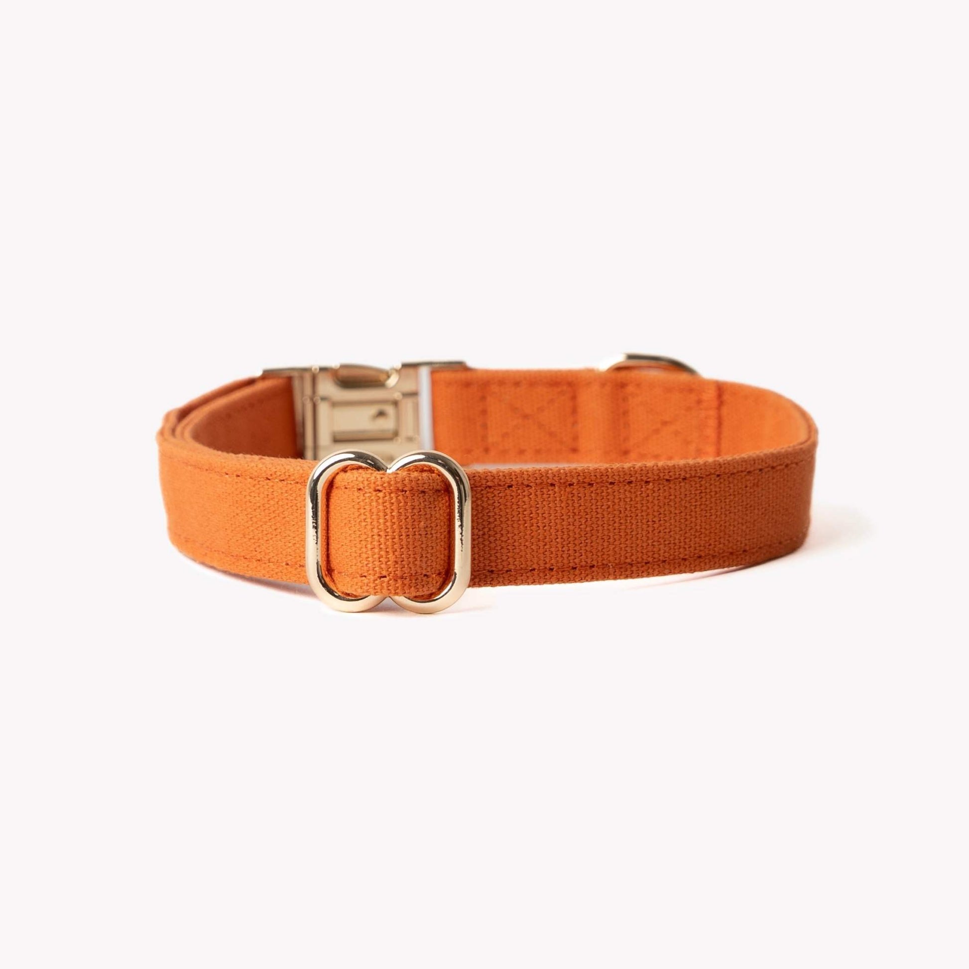 Terracotta canvas dog collar with gold hardware, soft cotton, breathable and lightweight for everyday comfort.