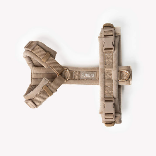 Sand - Velvet Dog Harness with adjustable straps and gold hardware on soft plush velvet material