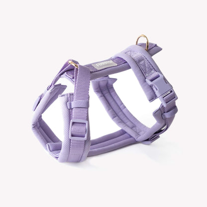 Lavender - Comfort Dog Harness with adjustable straps, padded breathable fabric, Y-shape design, and gold hardware for neck pressure relief