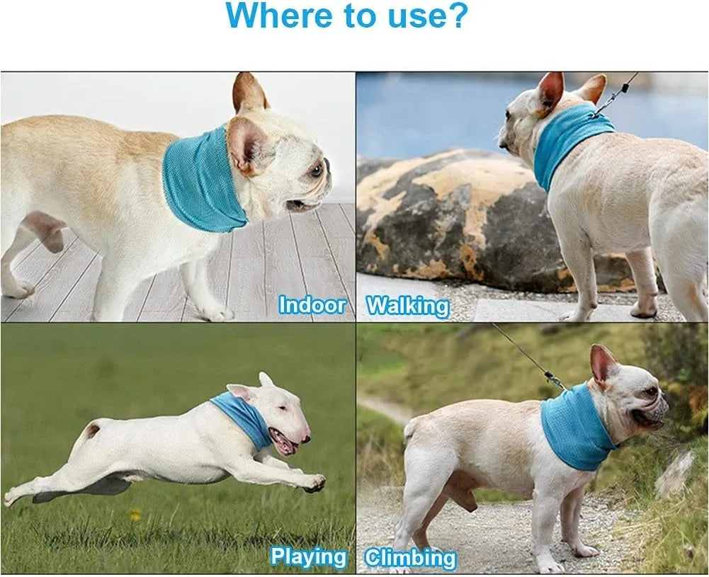 Dog Cooling Bandana Ice Pet Cooling Collar for Hiking Traveling Pet Supplies