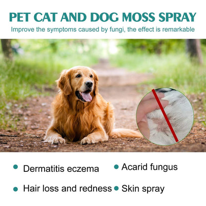 Pet Skin Medicine Spray for cats and dogs relieving mite itching and skin redness