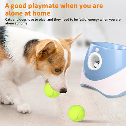 Rechargeable automatic tennis ball launcher with three 5cm balls for pet interactive play and adjustable launch distances.