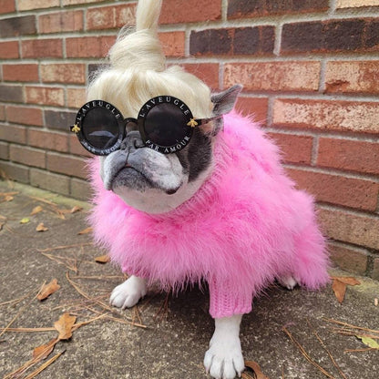 Haute Couture Feathered Luxury Pet Sweater: Stylish Warm Pet Clothes
