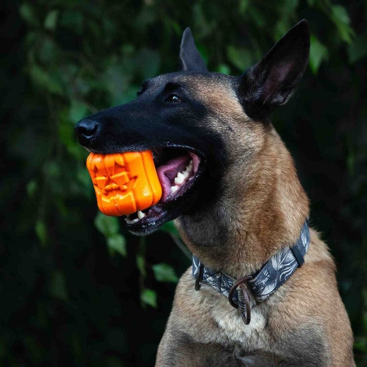 Durable Rubber Chew Toy & Treat Dispenser - Jack O' Lantern eDispener