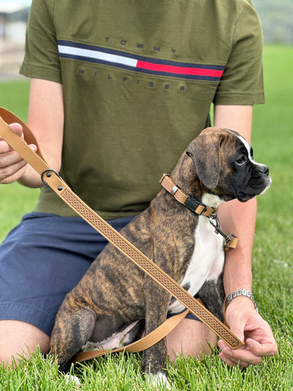 Celtic Sport Khaki Leather Dog Leash - Stylish Durable & Quick-Release