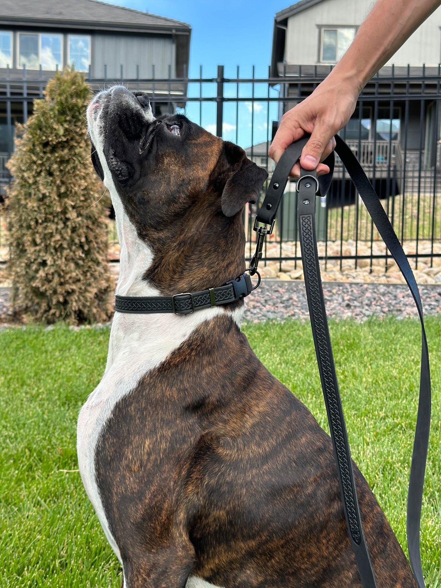 Celtic Sport Midnight Black Leather Dog Leash - Stylish Quick-Release