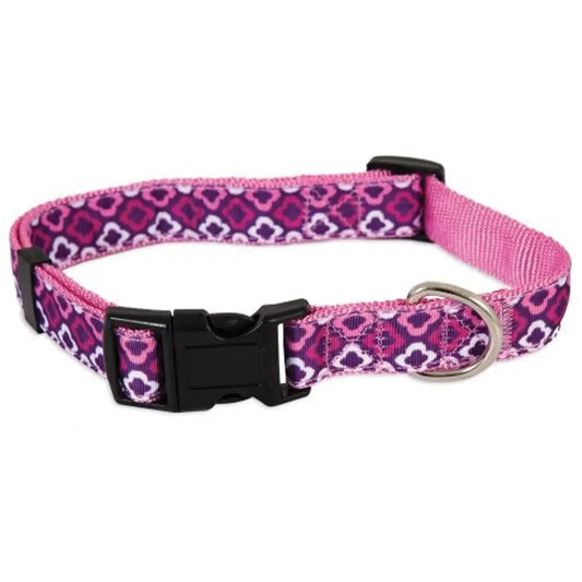Aspen Pet Dog Collar – Comfortable, Stylish & Durable Pet Accessory