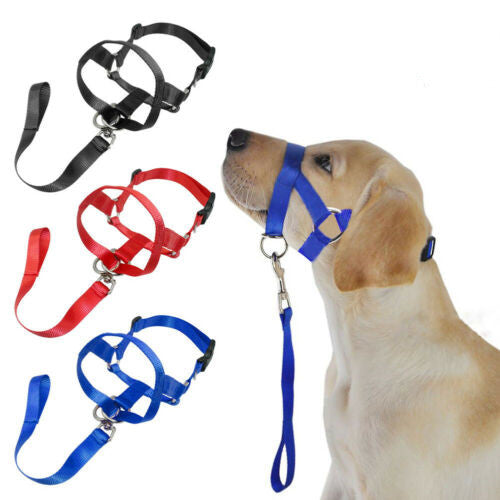 No-Pull Dog Leash Set