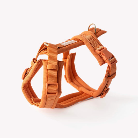 Terracotta comfort dog harness with adjustable padded straps and Y-shape design for pressure-free fit