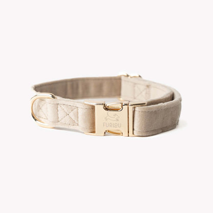 Sand velvet dog collar with gold buckle and soft texture
