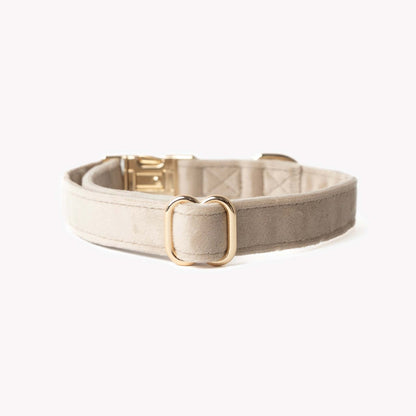 Sand velvet dog collar with gold hardware, soft and stylish pet accessory
