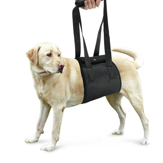 Dog Leash Extension Strap