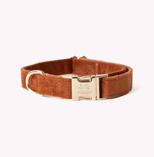 brown velvet dog collar with gold buckle and ring elegant soft velvet dog collar