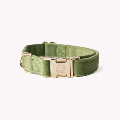 Green velvet dog collar with gold buckle and soft texture
