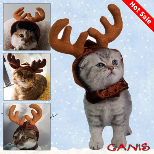 Christmas Reindeer Pet Headband