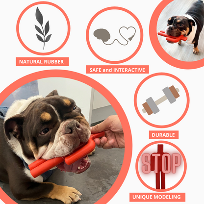 Durable natural rubber dog chew toy in stop signal design for all dog sizes and ages