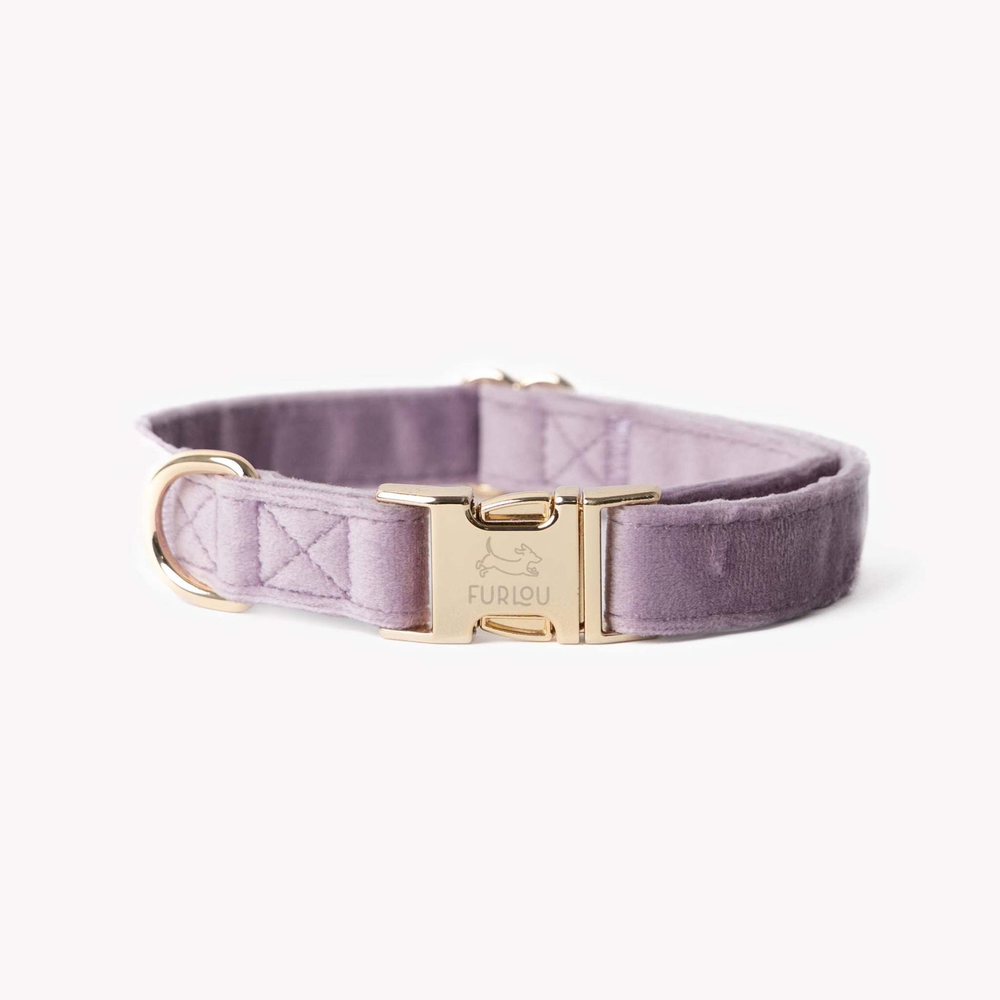 Lilac velvet dog collar with gold hardware and soft plush texture