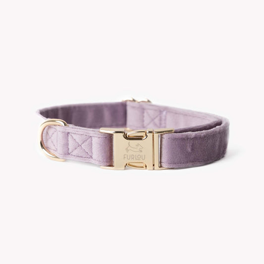 Lilac velvet dog collar with gold hardware and soft plush texture