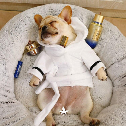 Small dog wearing white bath robe with hood lying on soft bed
