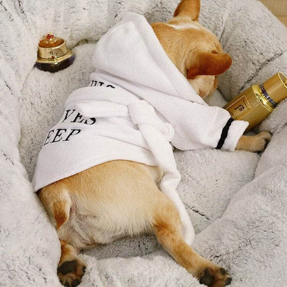 Small dog wearing white hooded bath robe with black text lying on a soft bed