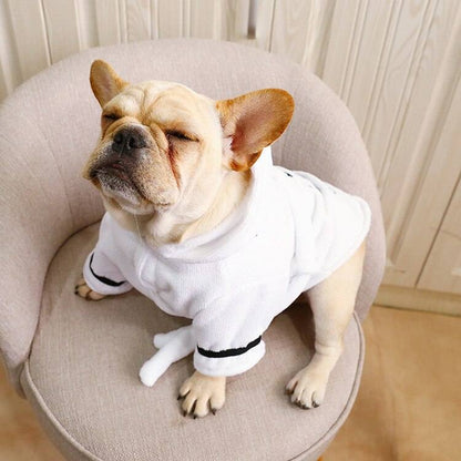 Small dog wearing soft white bath robe with hood sitting on beige chair