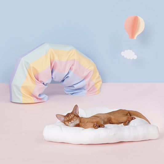 Rainbow Cat Tunnel Toy With Removable Washable Cushion