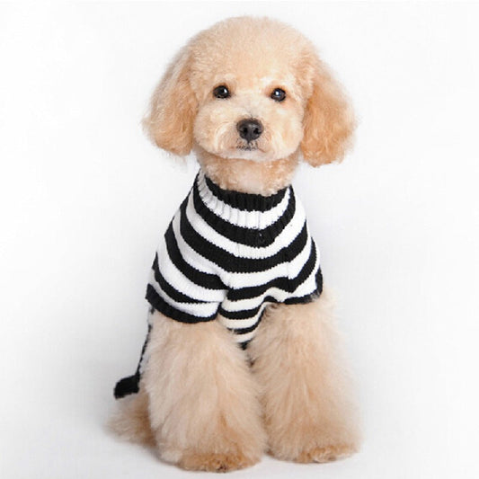 Skull Halloween Dog Sweater