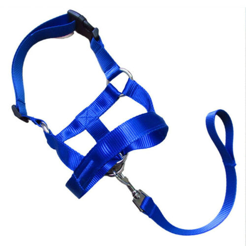 No-Pull Dog Leash Set