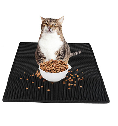 Cat sitting on black honeycomb cat litter pad with scattered cat food pellets
