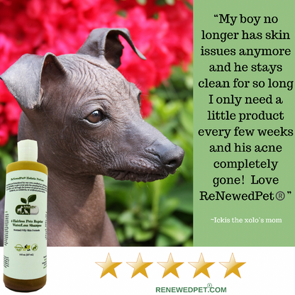 Hairless Pets Regular Conditioner by ReNewedPet for smooth, healthy skin on hairless pets with normal to oily skin types