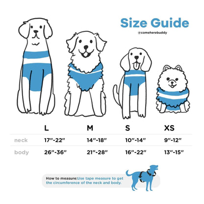 Comfortable stretchy and classic lightweight dog harness with adjustable neck and chest straps and three leash attachment points